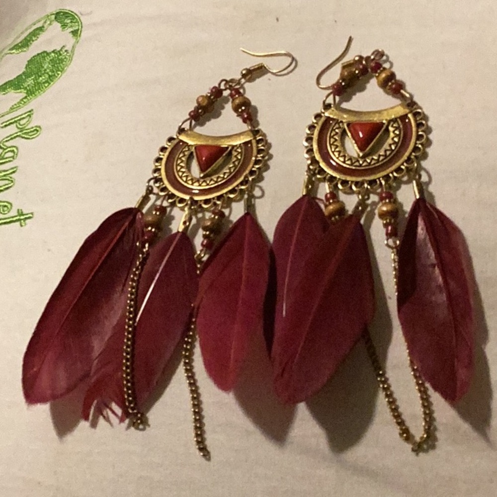 Earrings